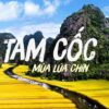 Tam cốc