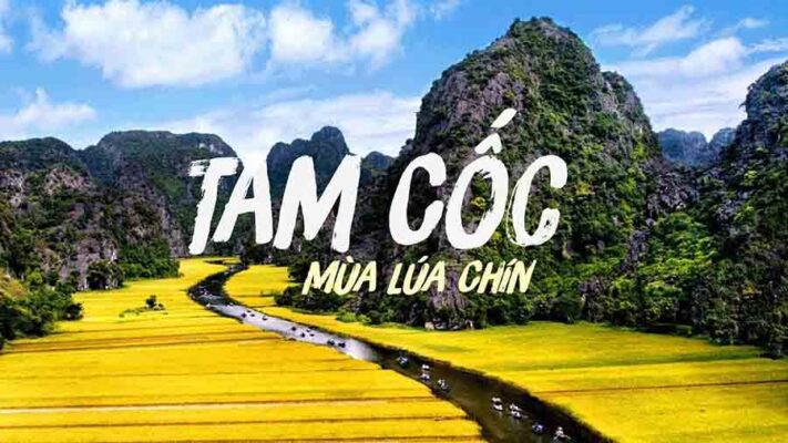 Tam cốc